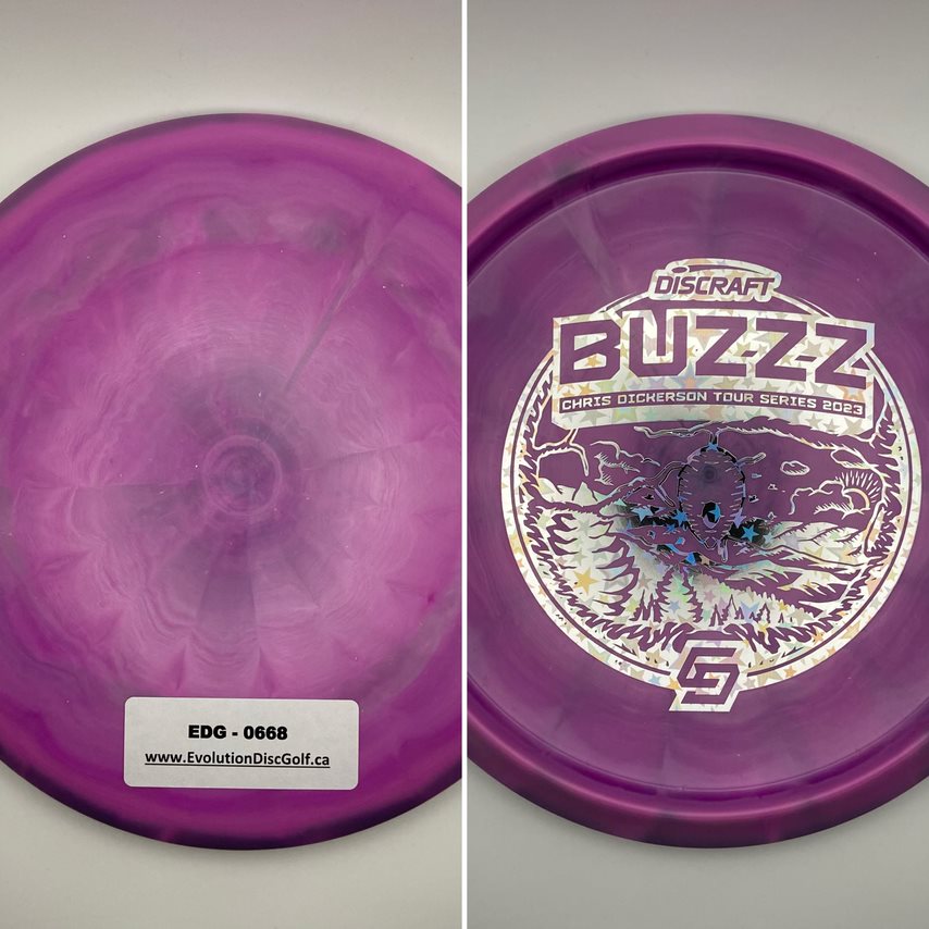 Discraft Team - 2023 Tour Series Bottom Stamped (ESP Swirly)