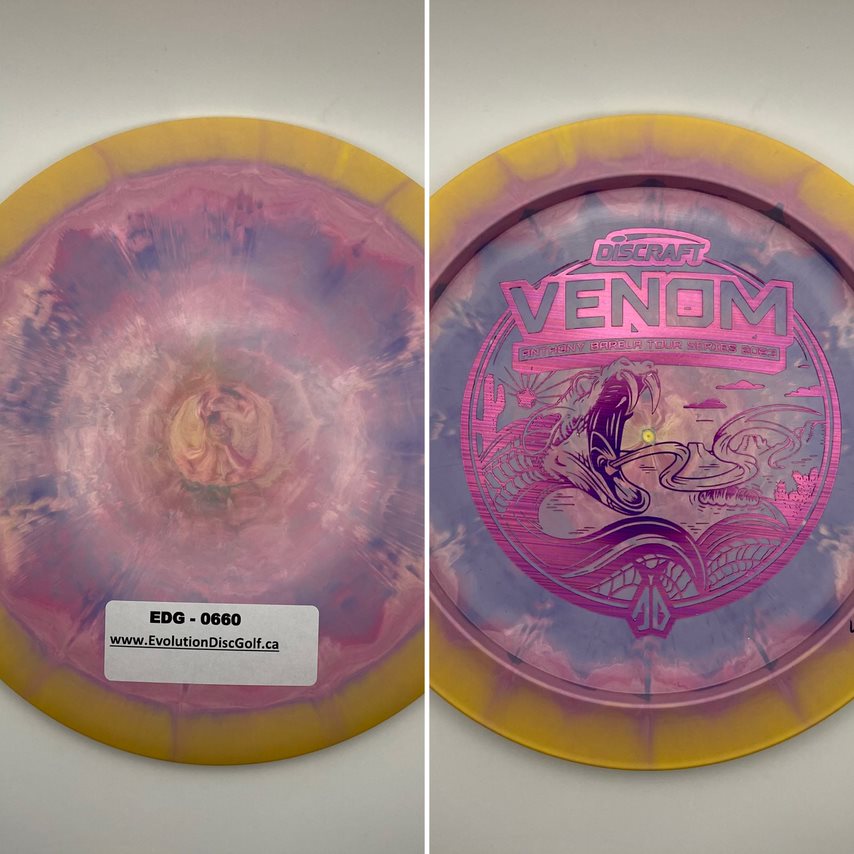 Discraft Team - 2023 Tour Series Bottom Stamped (ESP Swirly)