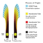 MVP - Motion (Plasma)